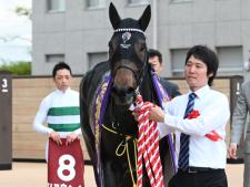川田将雅騎手騎乗のショウヘイが勝利(c)netkeiba