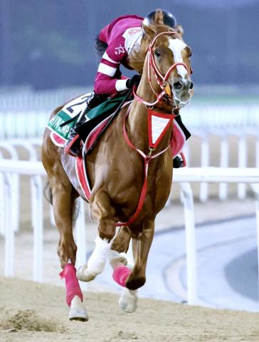 【注目馬動向】シンエンペラーが凱旋門賞登録　矢作調教師「選択肢の一つ」ジャパンCが大目標は変わりなし
