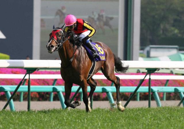 アンライバルド死す…09年皐月賞で友道師初のクラシック制覇「思い出深い馬」