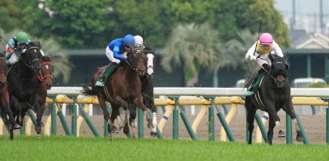 【エプソムC】セイウンハーデス重賞2勝目　屈腱炎から復帰3戦目で圧巻レコードV