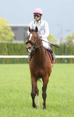 【京都新聞杯】1番人気トッピボーン4着　追い上げ届かず…武豊「引っかかってしまった」