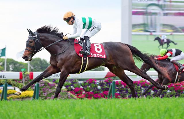 【京都新聞杯】競馬もSHO TIME　重賞初Vダービー切符　友道調教師「名前が名前だけに盛り上がってくれれば」