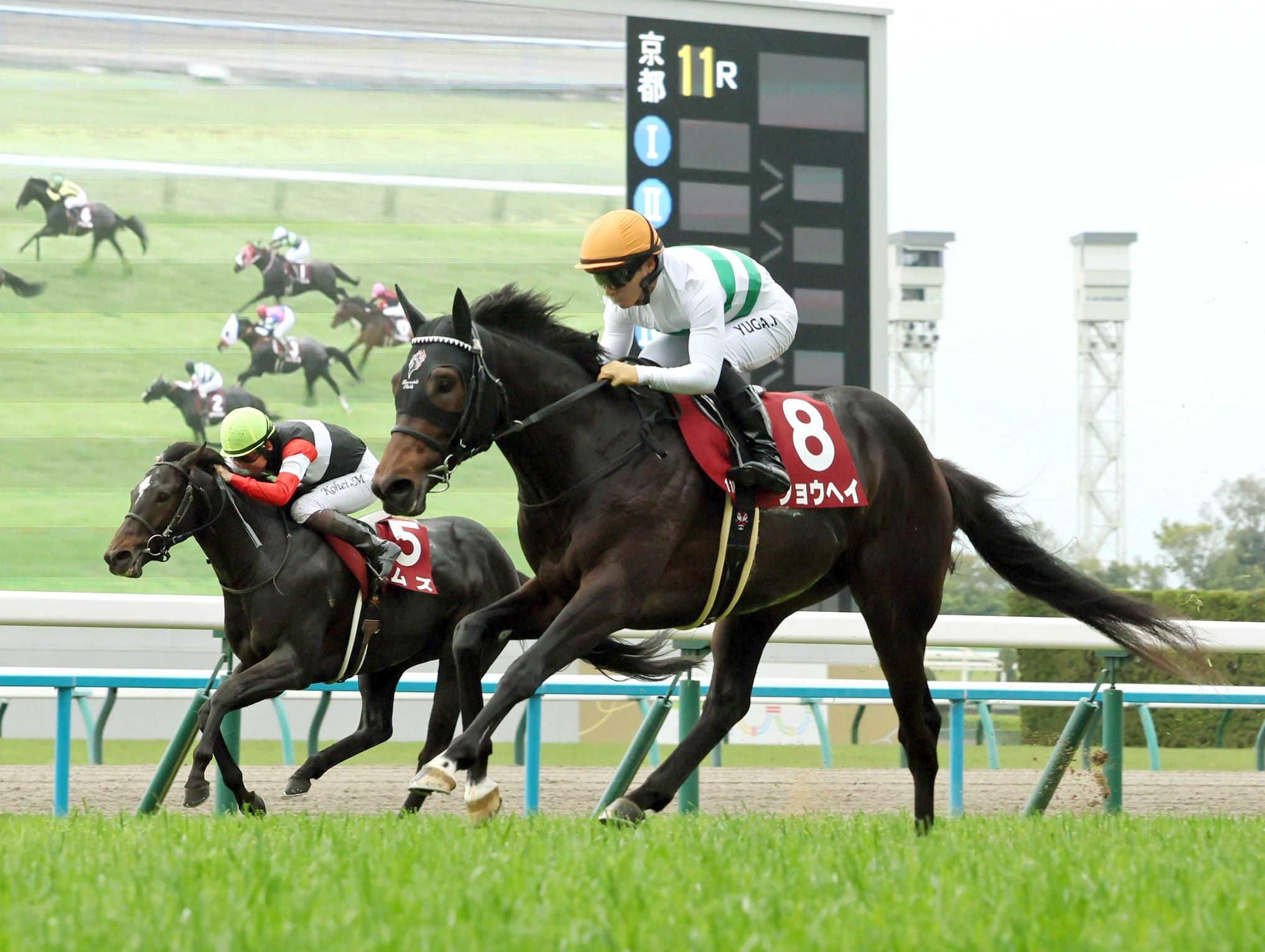 【京都新聞杯】ショウヘイ　ダービー最終“切符”獲得　２馬身半差の快勝劇　川田「ダービーへの道つながった」
