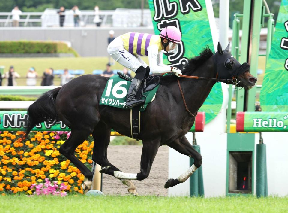 【エプソムＣ】セイウンハーデス　完全復活！２３年七夕賞以来１年１０カ月ぶりＶ　衝撃のレコード決着