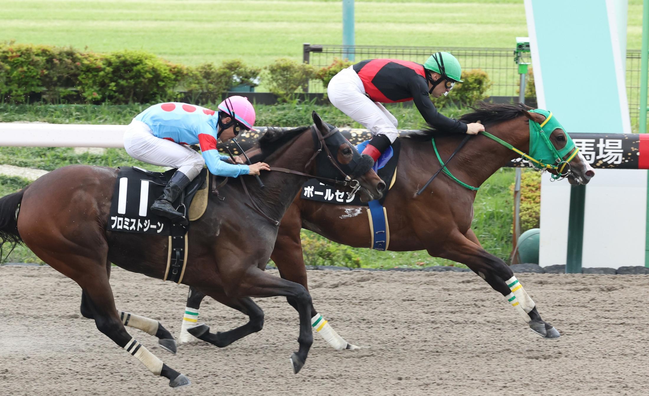 【青竜Ｓ】ポールセン　マイペース加速で逃げ切りＶ　ルメール「千六はいいですね」