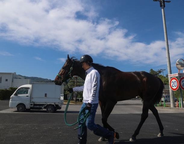馬トク外厩情報からの推奨馬…NHKマイルカップ・G1