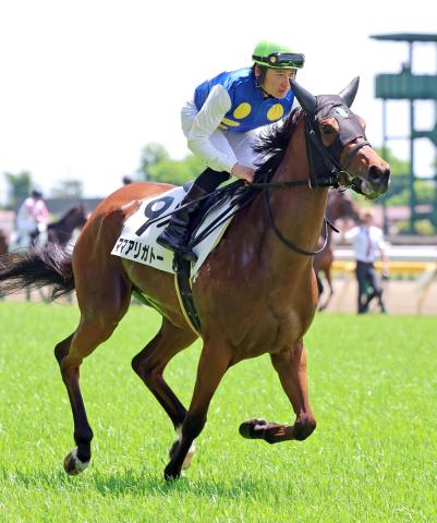 【東京4R・3歳未勝利】母の日にママアリガトーがターフを疾走　石栗調教師「いい日にいい番組がありました」