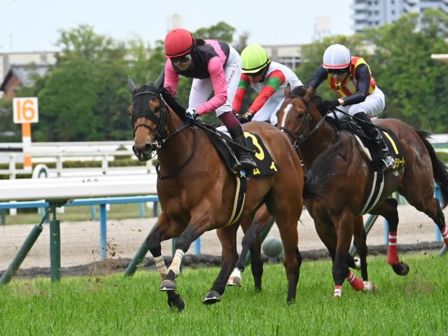 【橘S結果】7番人気ムイがゴール寸前で差し切りV