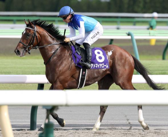 先行馬総崩れのハイペースで1番人気が直線失速　大波乱のNHKマイルCに悲鳴「声失った」「なんで負けるん…」