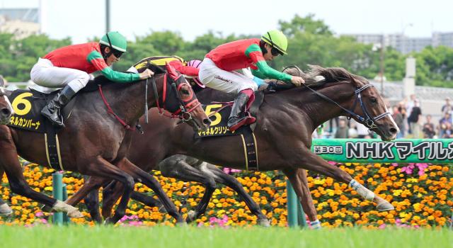 【東京10R・メトロポリタンS】マイネルクリソーラが差しきってオープン初V　横山武史騎手「言うことない良い内容」