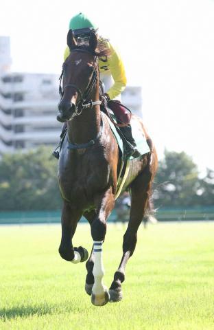 新潟大賞典展望　復調シリウスコルトが田中勝厩舎に重賞初タイトルもたらす