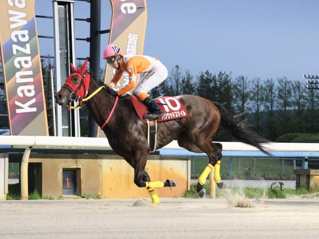 【金沢・お松の方賞結果】ハリウッドスマイルが押し切り重賞2勝目