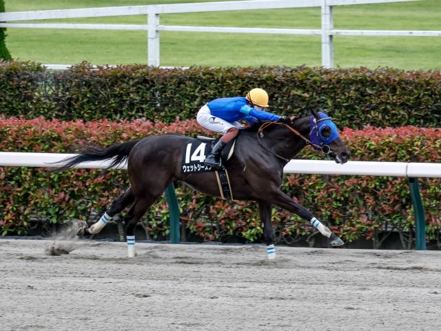 【立夏Sレース後コメント】ウェットシーズン三浦皇成騎手ら