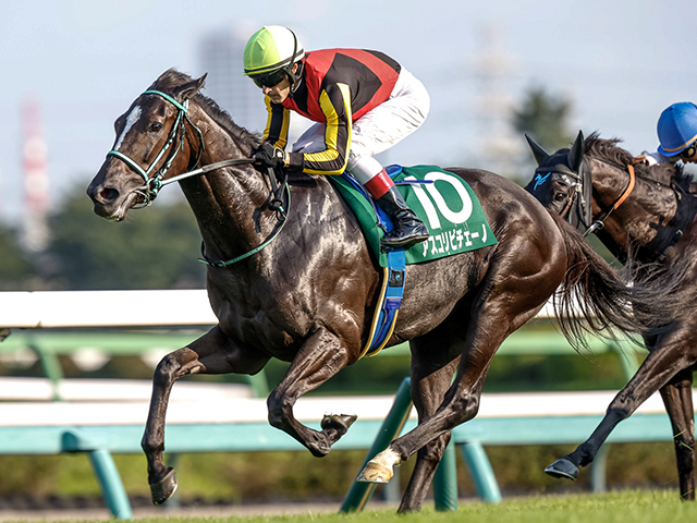 春の女王決定戦・ヴィクトリアMなど3重賞/今週の競馬界の見どころ
