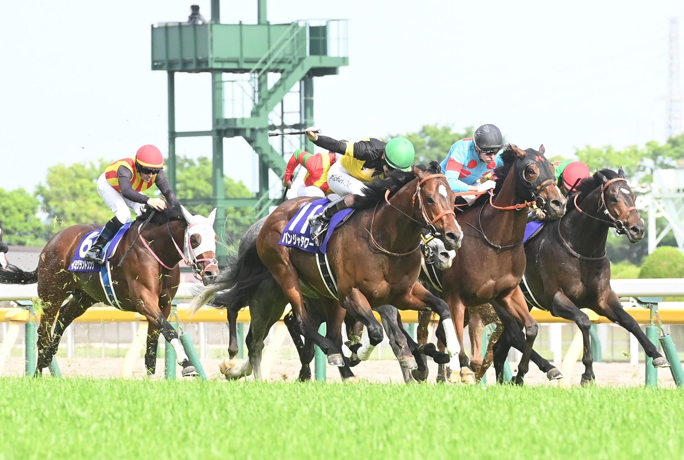 【ＮＨＫマイルＣ】パンジャタワーたまげたわ?！３連単１５０万円超の大波乱演出　松山４年ぶりＧ１星！橋口師親子同一Ｇ１制覇