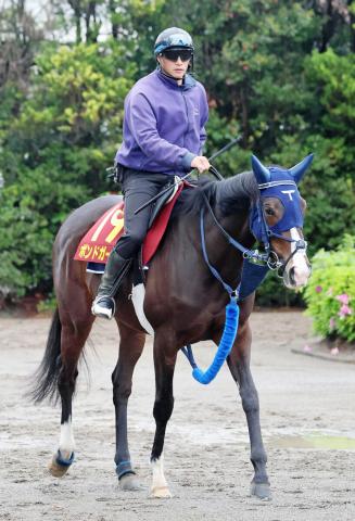 【ヴィクトリアM】重賞2着5回の実力馬に魅力も…昨年の出走馬ゼロで大混戦　大穴レースで夢馬券狙いたい