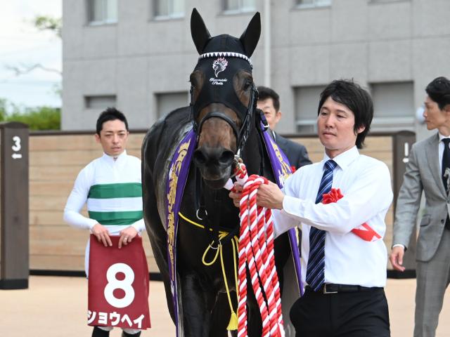 【京都新聞杯】売上は34億2584万7400円で昨年より約7億円減少