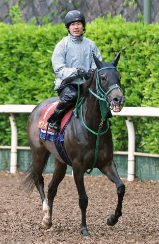 【ヴィクトリアM・水納の特注馬】成長著しいサフィラ　今の充実ぶりならG1でも期待