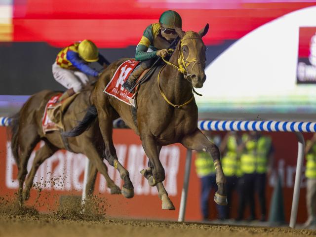 【先週のJRA抹消馬】歴代賞金王ウシュバテソーロ、22年兵庫CS覇者ブリッツファングなど