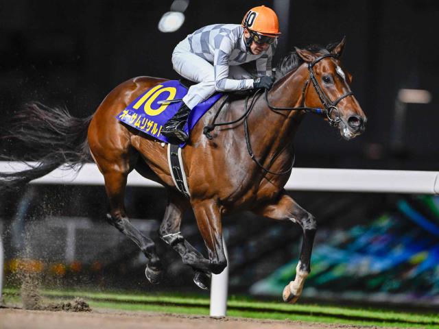【川崎・エンプレス杯枠順】デビュー8連勝中で連覇狙うオーサムリザルトは5枠5番