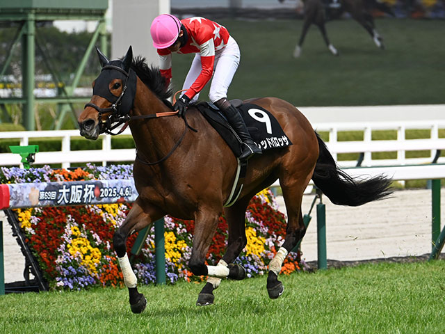 【京都HJ想定騎手】レッドバロッサは小牧加矢太騎手、アサクサゲンキは小坂忠士騎手
