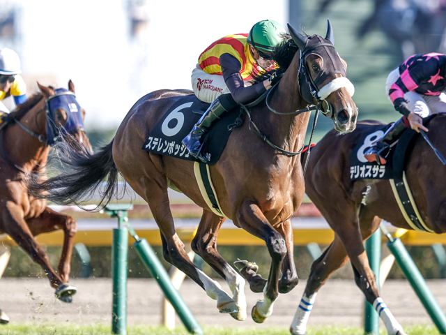 【ヴィクトリアM見どころ】ステレンボッシュが2つ目のGI奪取を狙う