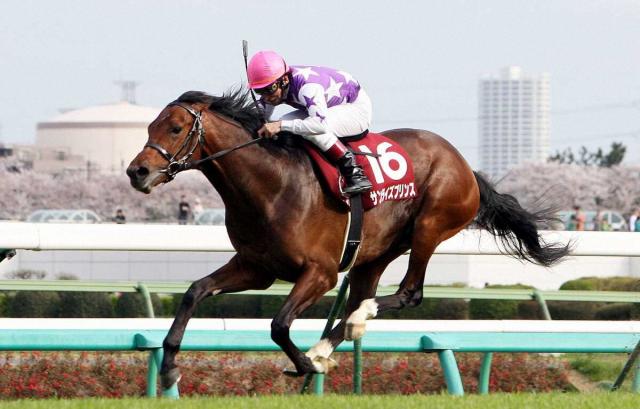 サンライズプリンス死す　18歳　10年にG2ニュージーランドT優勝