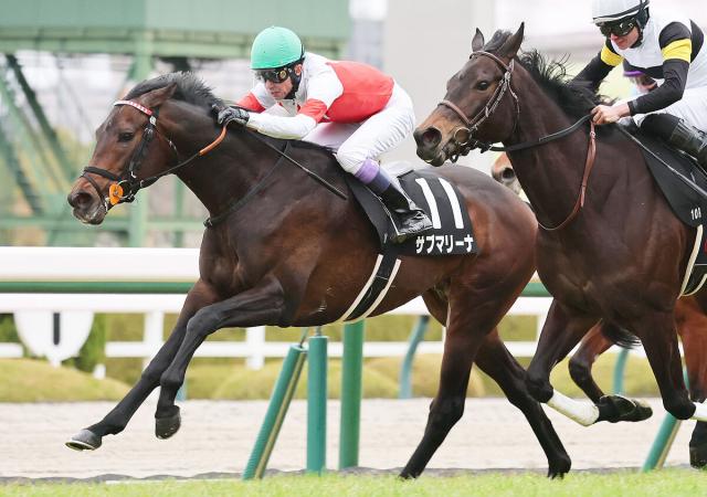 【新潟大賞典】武豊騎手が春の新潟開催に39年目で初参戦　「緊張するわ(笑)。教官みたいになりそう」