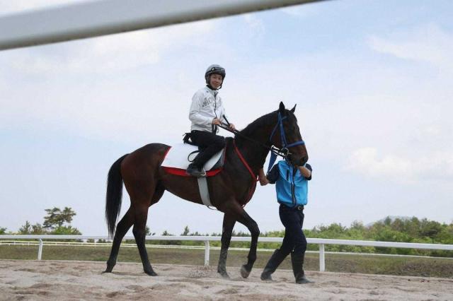 武豊　大山ヒルズで2歳馬の調教に騎乗　「この施設で育成されている馬はいいよね」