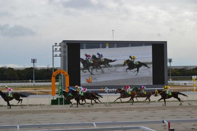 【名古屋競馬】7月から「名古屋モーニングフィーバー」実施　1、2Rの3連単払戻率アップ