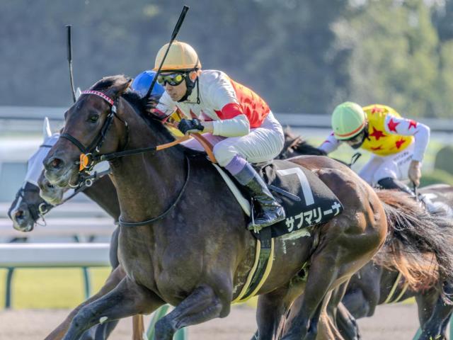 武豊騎手が春の新潟に初参戦 サブマリーナで新潟大賞典の初騎乗初制覇狙う