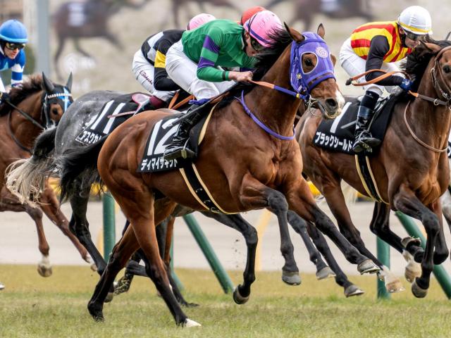 【新潟大賞典】ディーマジェスティ産駒がJRA重賞初制覇へ ディマイザキッドが3連勝狙う