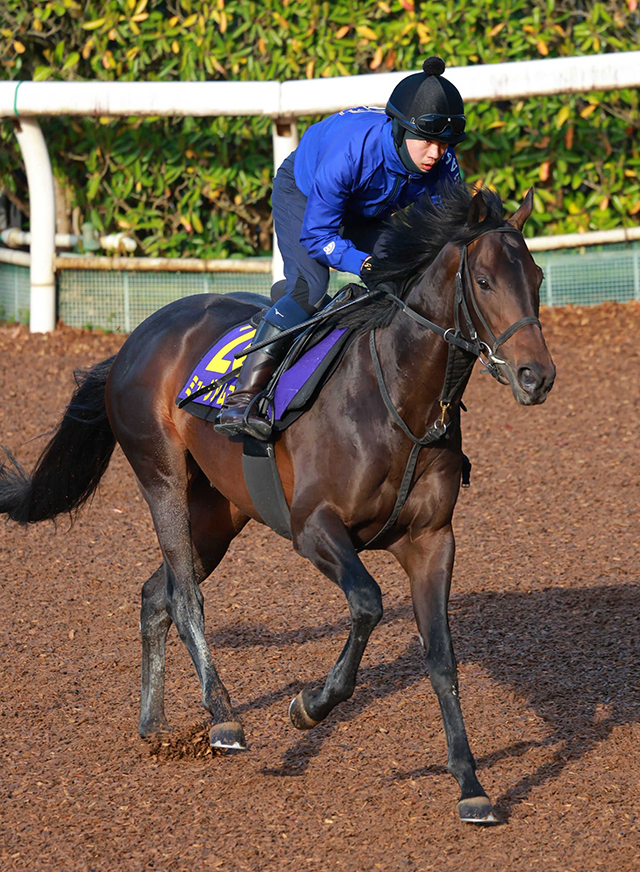 皐月賞馬ミュージアムマイルがレーンとの新コンビでダービーへ　きょう１３日に帰厩