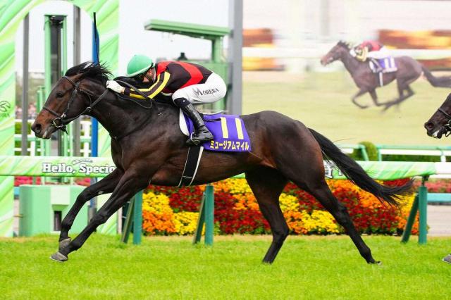 皐月賞馬ミュージアムマイル　レーンとの新コンビで日本ダービー参戦