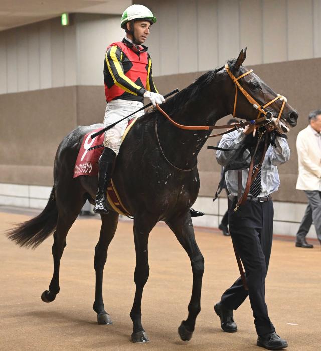 青葉賞２着ファイアンクランツは佐々木でダービーへ　勝てば父子３代制覇　デビュー４年目佐々木はダービー初騎乗
