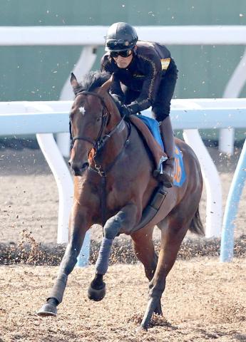 【新潟大賞典】失明危機乗り越えレガーロデルシエロが昇級即重賞Vへ　栗田調教師「よくここまで持ち直してくれました」