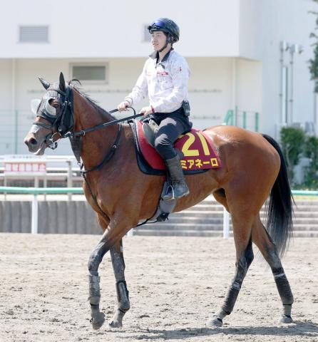 【ヴィクトリアM】ミアネーロ課題の発馬克服し逆襲へ　林調教師「能力は十分にある馬」