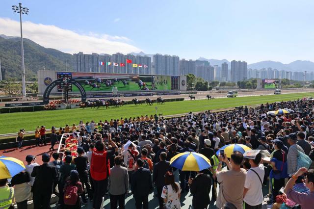 香港競馬から考え直す人と馬の「主従関係」…近くで音楽ライブ開催も暴れ馬少ない