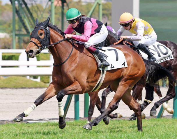 【3歳・注目馬動向】今村聖奈騎手が約2年9か月ぶりにオープンVのムイは葵Sを視野