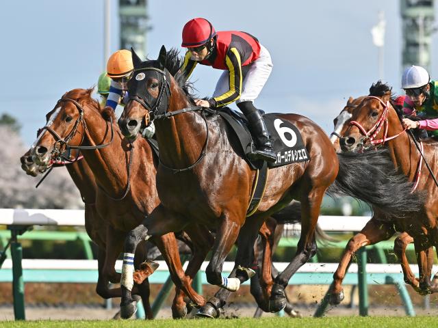【新潟大賞典予想オッズ】レガーロデルシエロが予想1番人気