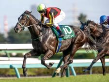 予想オッズ1番人気のアスコリピチェーノ(撮影：下野雄規)