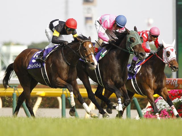 ヴィクトリアMは荒れているのか GIレースの単勝＆3連単平均配当を調べてみた