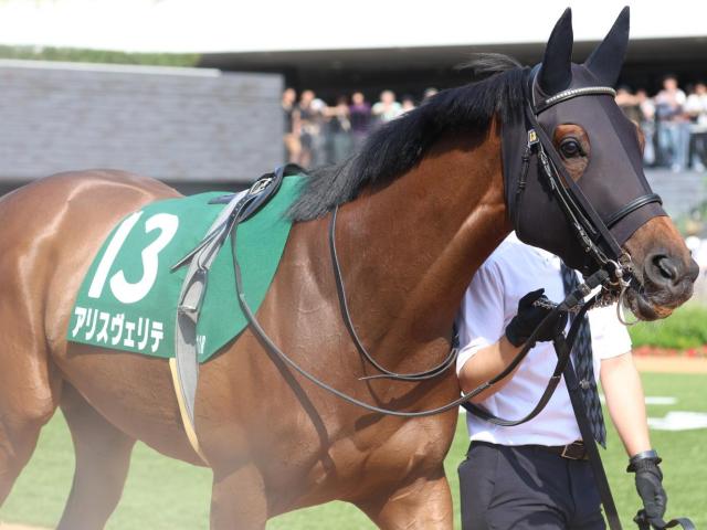 【ヴィクトリアM】池添謙一騎手がJRA牝馬限定GI完全制覇なるか 伏兵アリスヴェリテで一発狙う