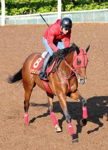 2020年 エリザベス女王杯（GⅠ） | ラッキーライラック | JRA