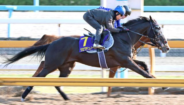 【日本ダービー・2週前】クロワデュノールが巻き返しへ好気配　北村友一騎手「皐月賞の2週前より雰囲気はよかった」