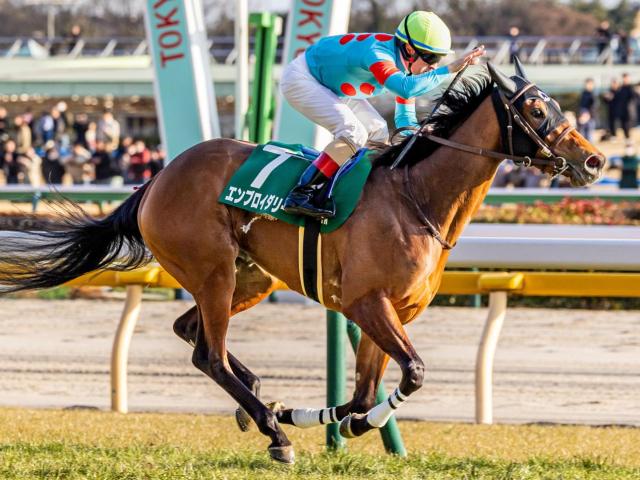 【オークス】現役トップの4勝挙げるC.ルメール騎手 エンブロイダリーで歴代最多タイとなるか