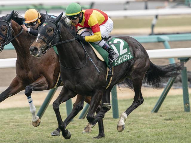 【オークス】2着4回の戸崎圭太騎手 重賞馬エリカエクスプレスで悲願の初制覇なるか