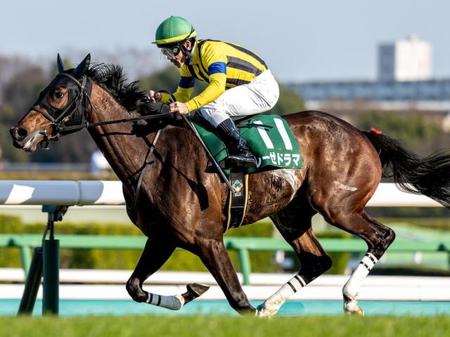 【オークス】辻野泰之調教師がGI初制覇なるか フラワーC覇者のレーゼドラマで参戦