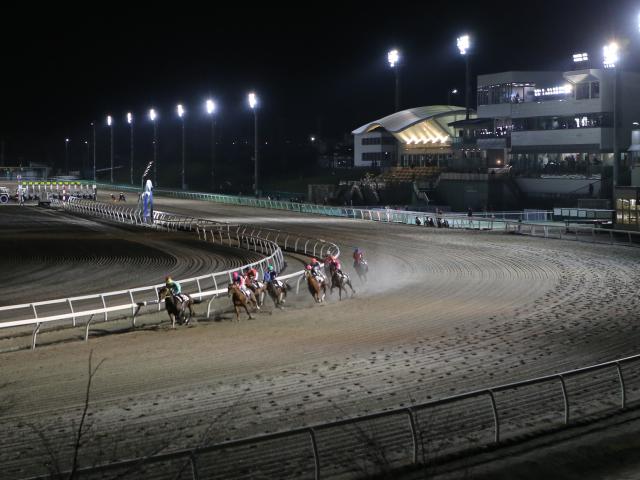 14日門別5Rで「新種牡馬産駒限定の2歳新馬戦」 マテラスカイ産駒やインディチャンプ産駒など9頭