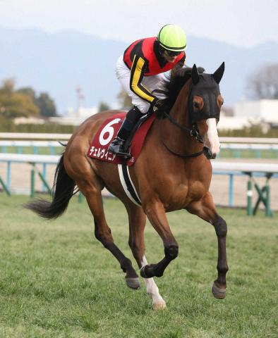 ドバイ遠征明けの2冠牝馬チェルヴィニア　新設G3しらさぎS参戦　6・22阪神マイル